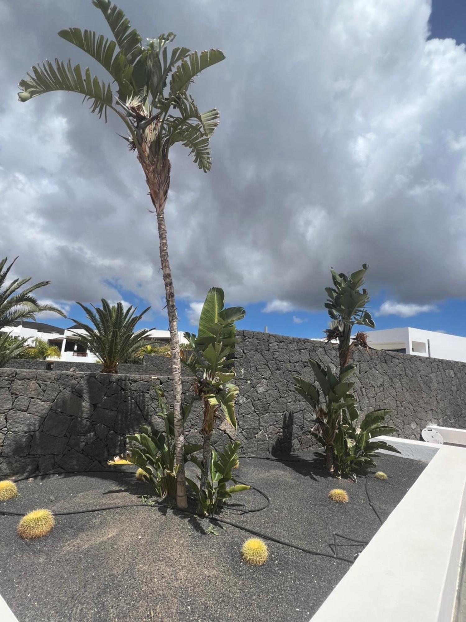 Villa Dedalos - A Luxury Large Villa With A Heated Pool In Puerto Calero Exterior foto